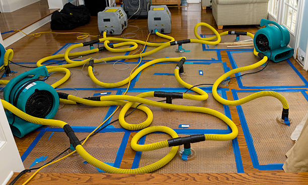Professional Crawl Space Water Removal technician working in Falls City, OR